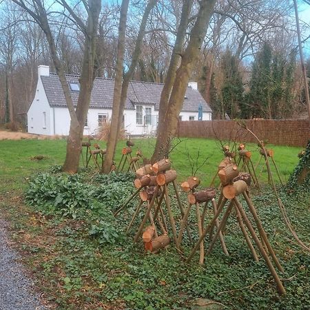 Houtsaegertje Villa De Panne Kültér fotó